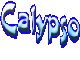 Calypso-Segelteam